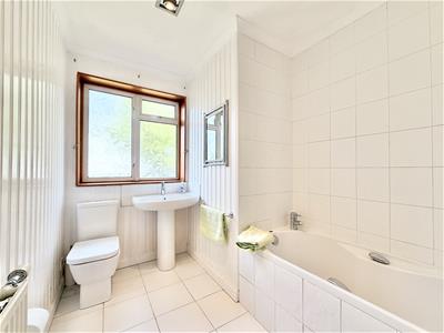 Picture 19